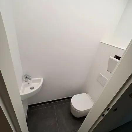 Stadtwohnung Mit Grosser Terasse